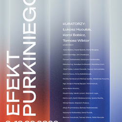 https://dobiszewski.com/files/gimgs/th-10_efekt_purkiniego.jpg